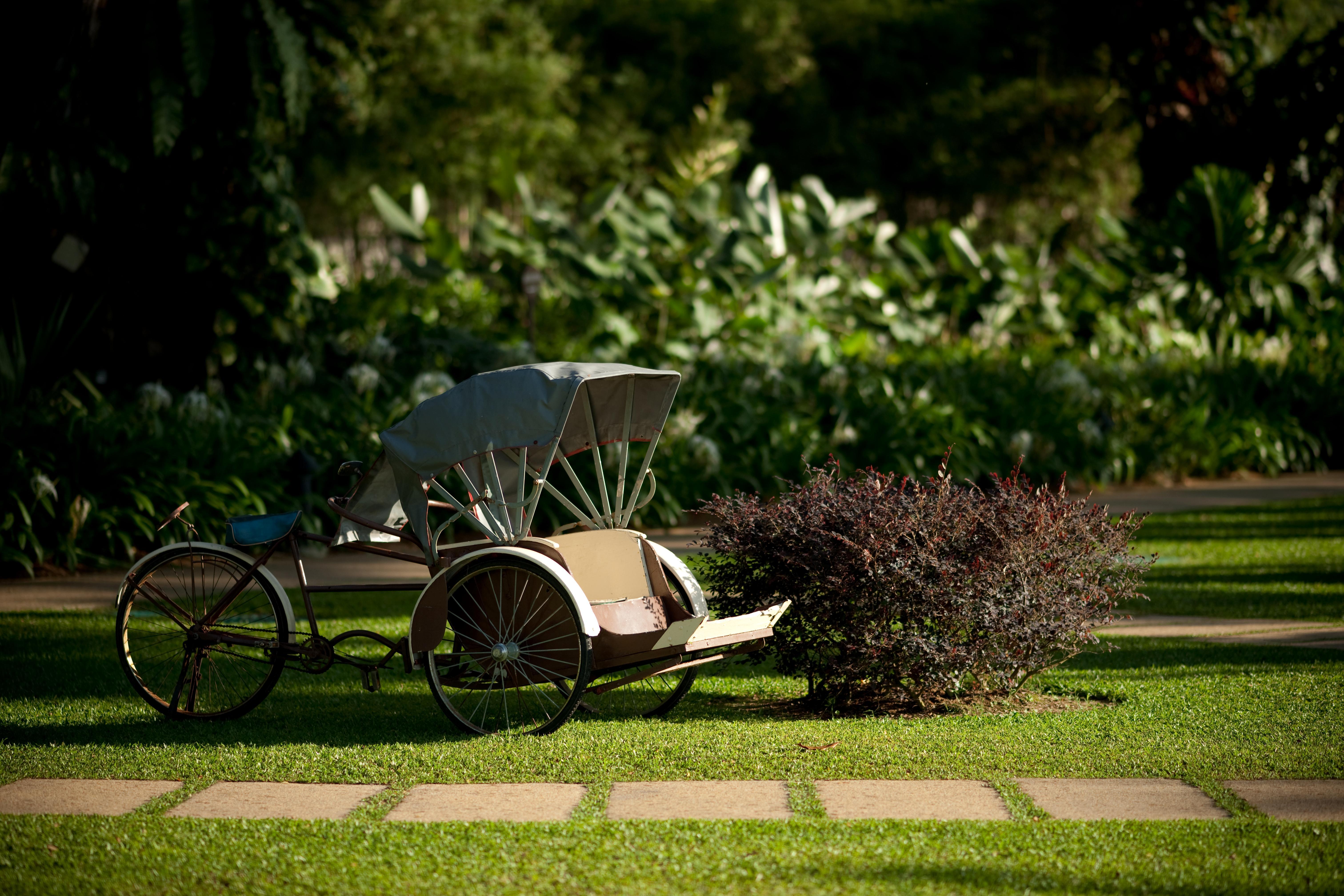 Shangri-La Rasa Sayang, Penang Batu Ferringhi Exterior foto Rickshaw in the gardens